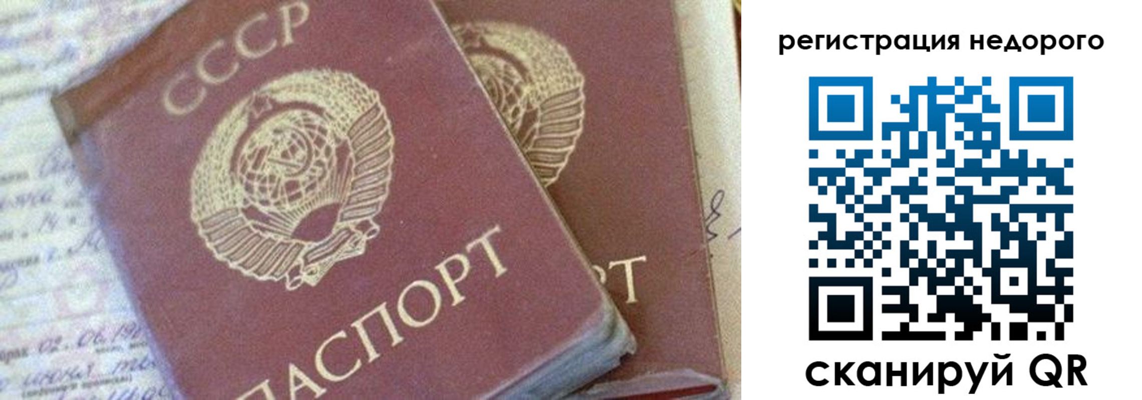 прописка для работы в Бабаево